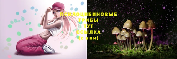 МДПВ Беломорск