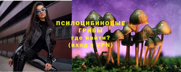 МДМА Белокуриха