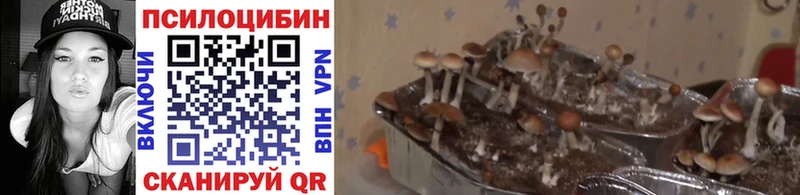 Галлюциногенные грибы прущие грибы  Ужур 